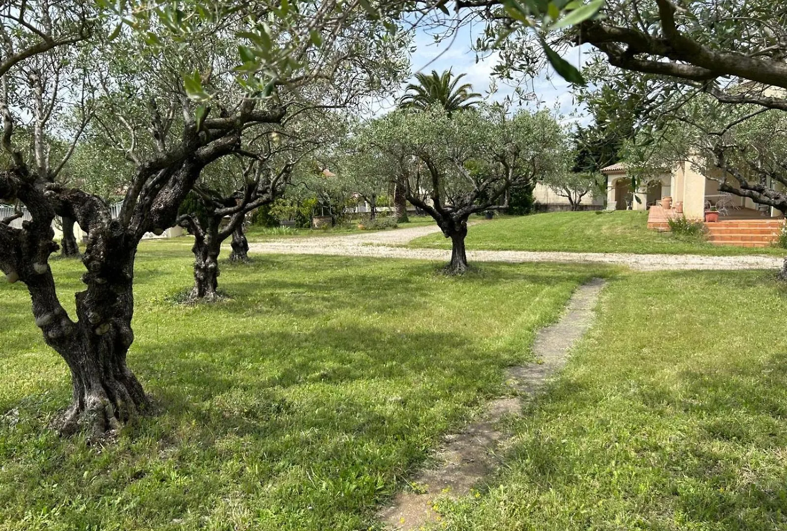 Villa Les Oliviers Orange  Orange (Vaucluse)